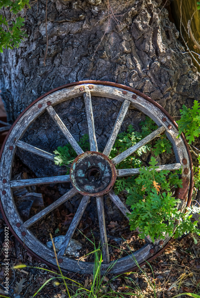 An old An old carriage and its wheels, Turkey and its wheels, Turkey