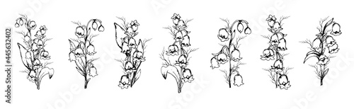 hand-drawn set with Lily of the valley flowers, primroses . realistic element in black, white. Botanical sketch for print, decoration, decor, Wallpaper. vintage style
