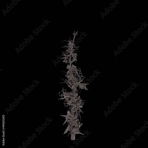 White tree 3d rendering. Tree picture. Black background. 