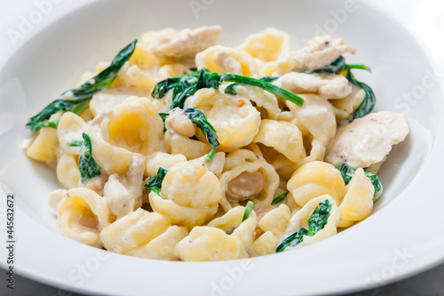 pasta with chicken meat, spinach and chick peas