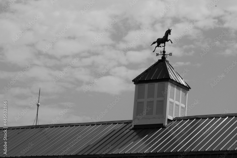 Weathervane on the roof Weathervane on the roof