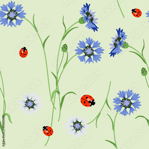 Seamless floral pattern with blooming branches of cornflower or knapweed plant and ladybug beetles. Cute summer wildflower motif. On light green background.