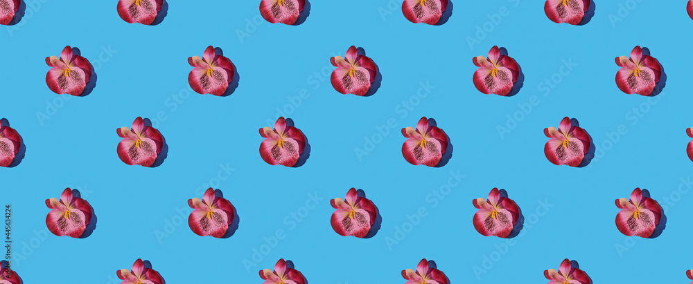 Pattern of purple orchid flower on blue background