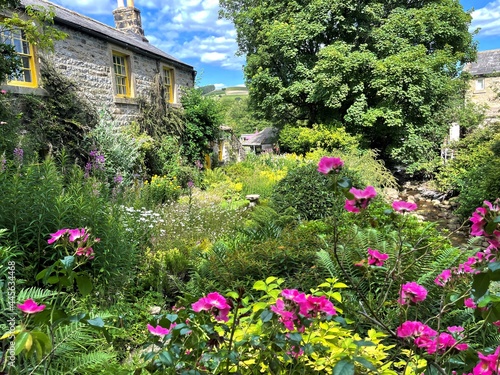 Old English country garden, with a stone cottage and wild flowers in, Ramsgill, Pateley Bridge, UK photo