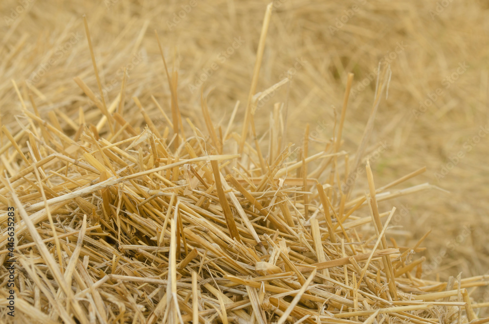 Hay bale background. Hay texture for agriculture, animal feed hay making, harvest concept. Hay bale background. Hay texture for agriculture, animal feed hay making, harvest concept.
