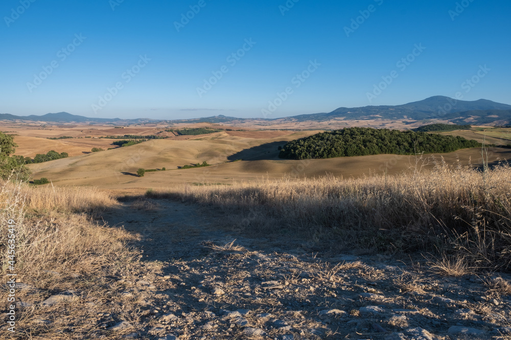 Tuscany rural scenery and grain fields at sunny day Tuscany rural scenery and grain fields at sunny day