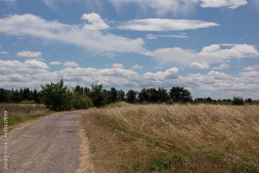 dirt road in the countryside with a beautiful cloudy sky