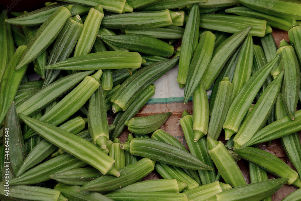 Bunches of fresh okra at a summer farmer's market Bunches of fresh okra at a summer farmer's market