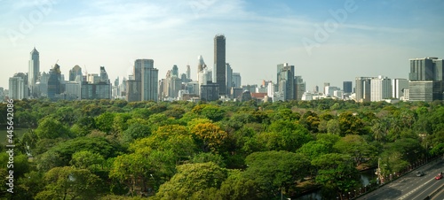 Public park and high-rise buildings cityscape in metropolis city center . Green environment city and downtown business district in panoramic view .