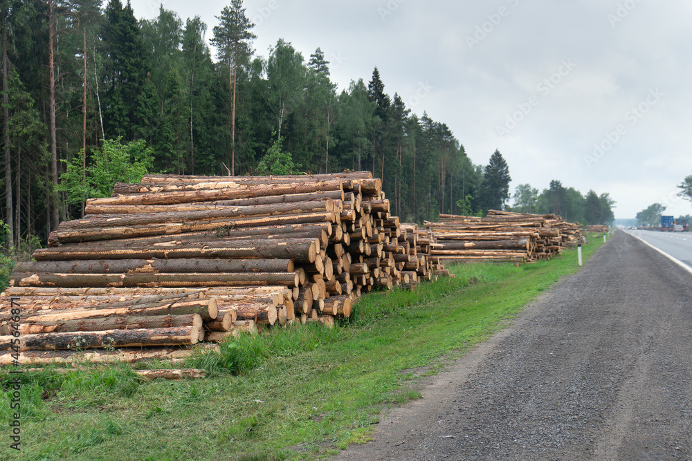 Logs are piled up on the side of the highway near Moscow in the summer