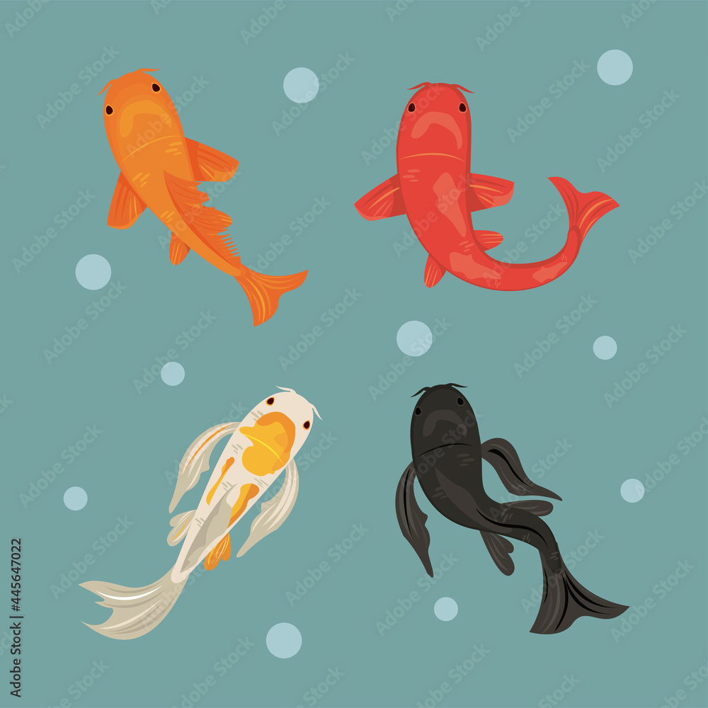 Fototapeta premium four koi fishes