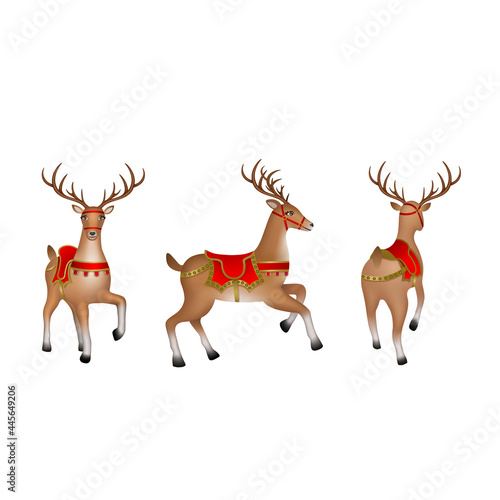 Isolated reindeer vector. Side, front and back view