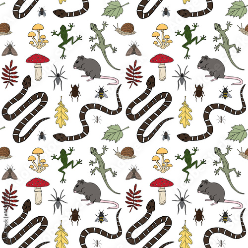 Vector seamless pattern of colored hand drawn doodle sketch forest animal rodent reptiles and insects isolated on white background