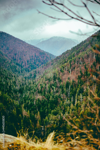 Beautiful landscape with thick trees covering vast hills in the Tomasovsky View in Slovakia photo