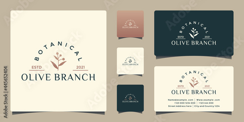 olive branch vintage style logo design for your company cosmetic, saloon, spa, herbal, and community