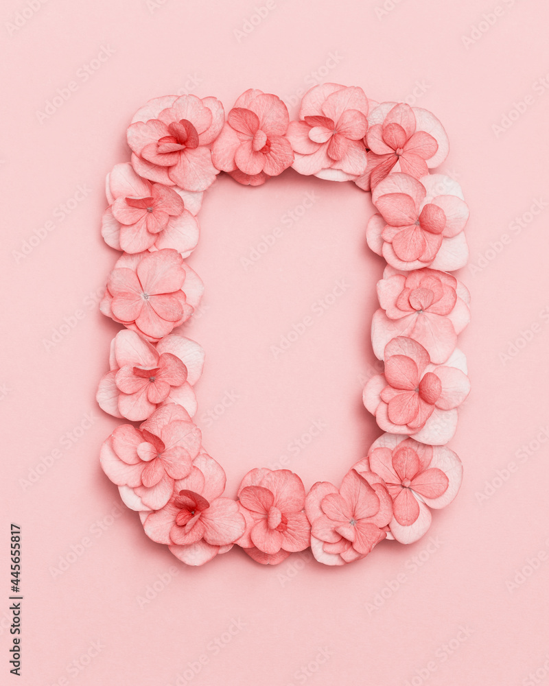 Floral frame with small pink Hydrangea flowers, natural floral flat lay in summer seasonal style. Minimal monochrome top view