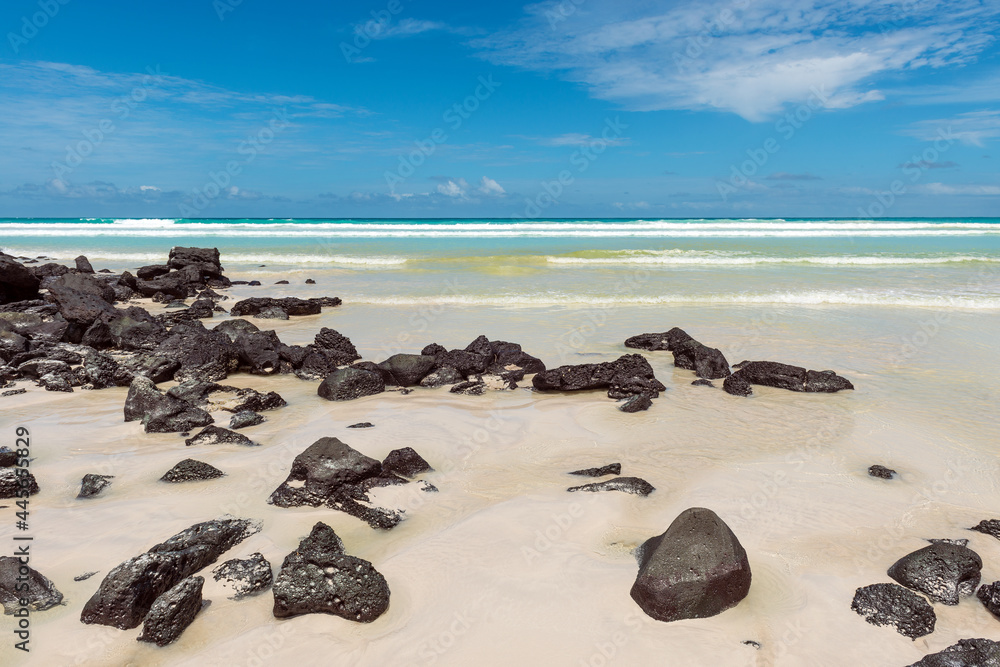 Tortuga beach with volcanic rocks and turquoise Pacific Ocean, Santa Cruz island, Galapagos national park, Ecuador.