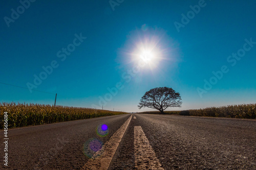 Foto na estrada com sol ao fundo photo