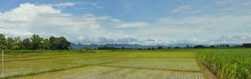 panorama of the countryside