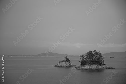 Two small islands with several pine trees in the Gogunsan Islands in Korea photo