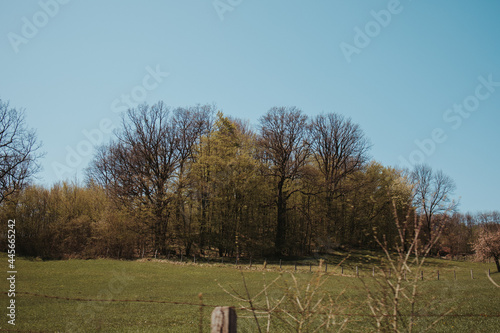 Scenic view of grassy field and lush autumntrees behind a wire fence under a blue sky photo