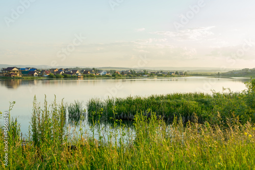 A warm sunny evening on the lake. Sunset on a village lake surrounded by cattails and willow bushes.