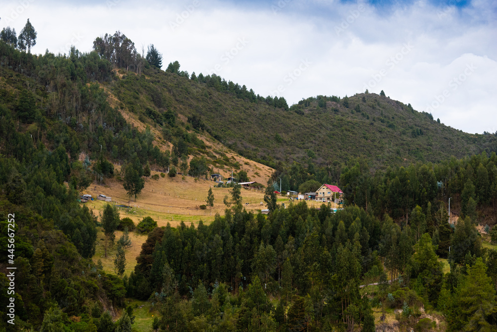 Photograph of mountains with pine trees next to a peasant house with a cloudy blue sky in Nemocón Colombia.