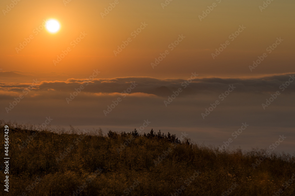 Fototapeta premium morning sun in the mountains