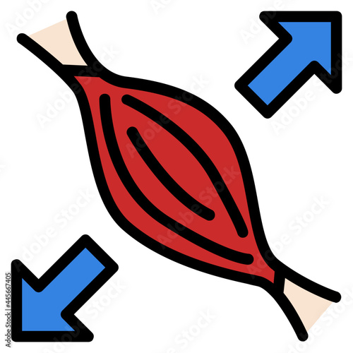 muscle line icon