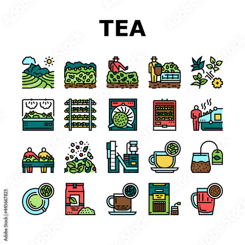 Tea Drink Production Collection Icons Set Vector. Growth Of Tea On Plantation And Harvesting, Cultivation And Sorting, Flavoring And Packaging Concept Linear Pictograms. Contour Color Illustrations