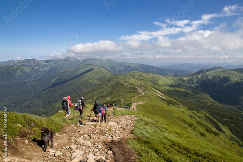 tourists with backpacks go to the mountains © Андрій Лучишин