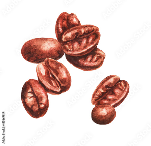 Group of coffee beans. Watercolor (2)