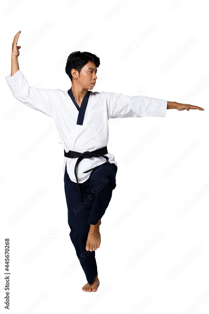Sport Master of TaeKwonDo practice Karate Poses, isolated full length Sport Master of TaeKwonDo practice Karate Poses, isolated full length