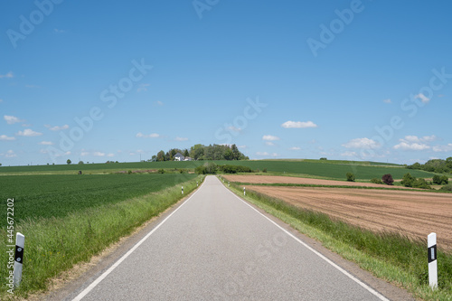 Asphalt road in landscape between fresh cornfield and agriculture field with nice blue sky 
