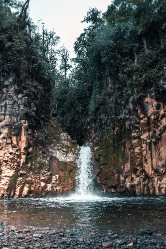 vertical shot of a waterfall falling into a pool of cold water surrounded by vegetation and rocks in the middle of the tropical cloud forest of Costa Rica