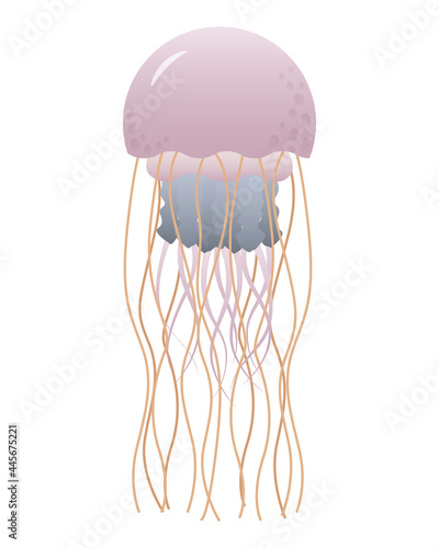 Pink jellyfish.