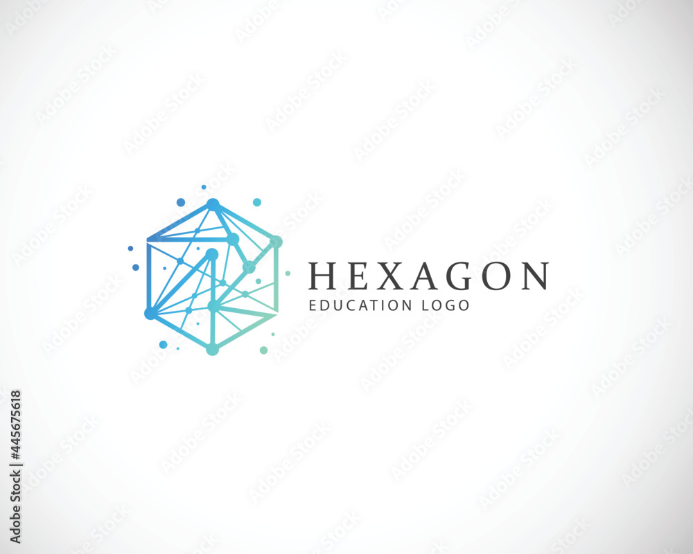 Fototapeta premium hexagon logo creative design concept digital system
