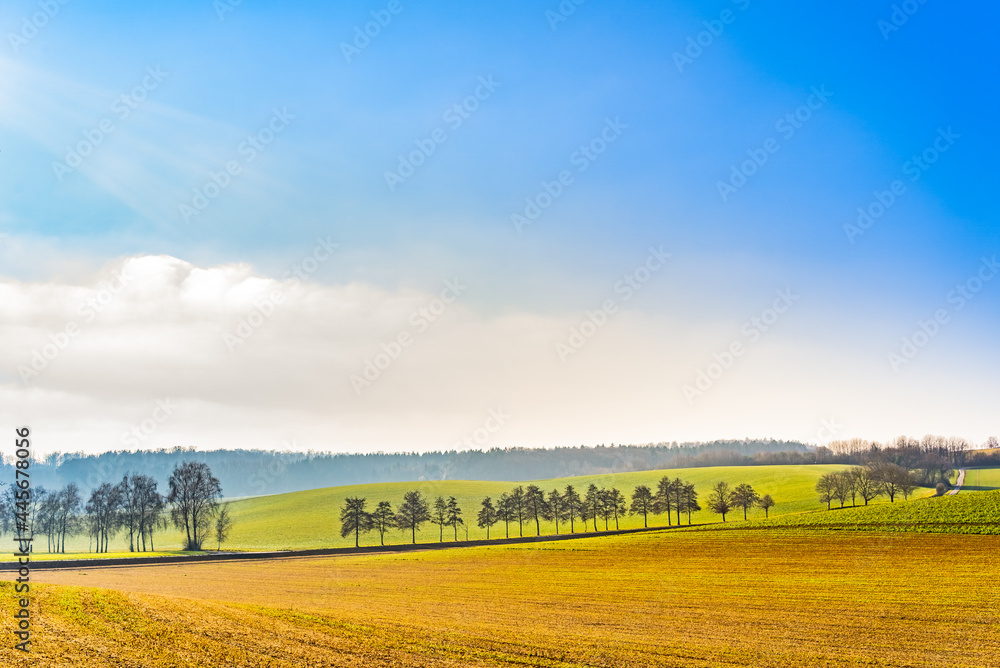 Rural landscape under the blue sky and white clouds, crop plantations, beautiful natural scenery