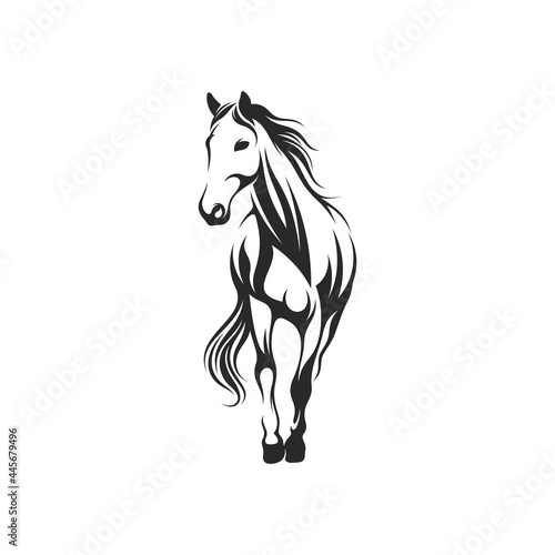 Fototapeta Naklejka Na Ścianę i Meble -  Horse vector illustration with black colour design