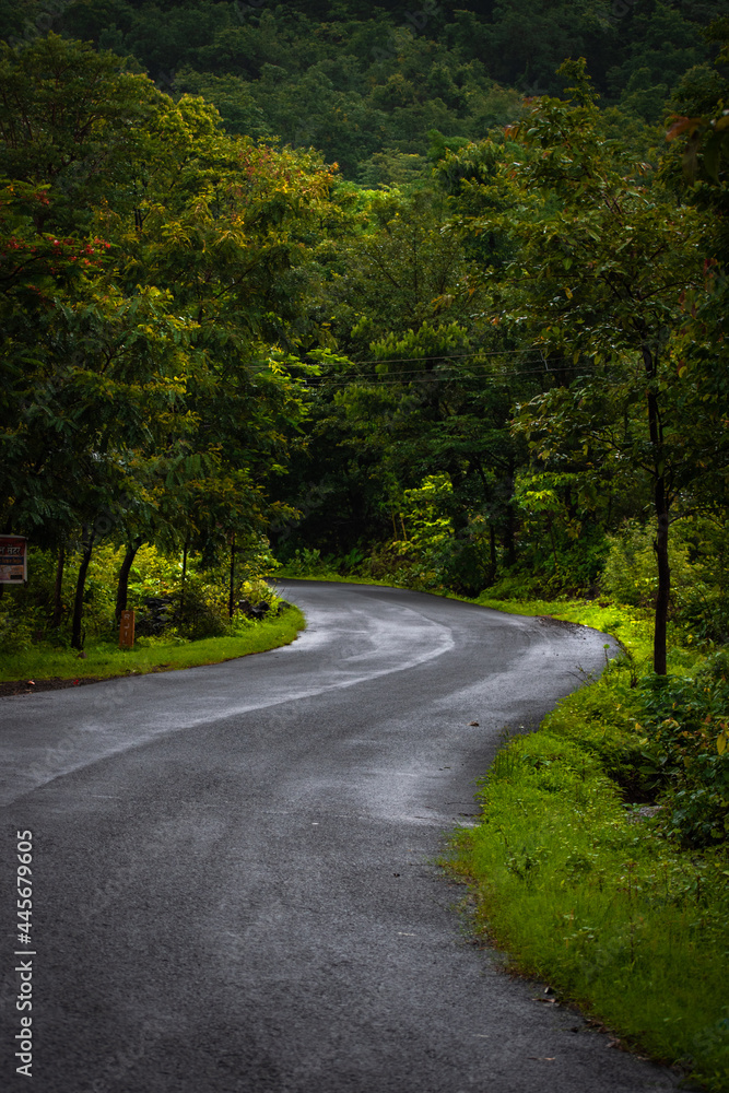 Fototapeta premium Wayout