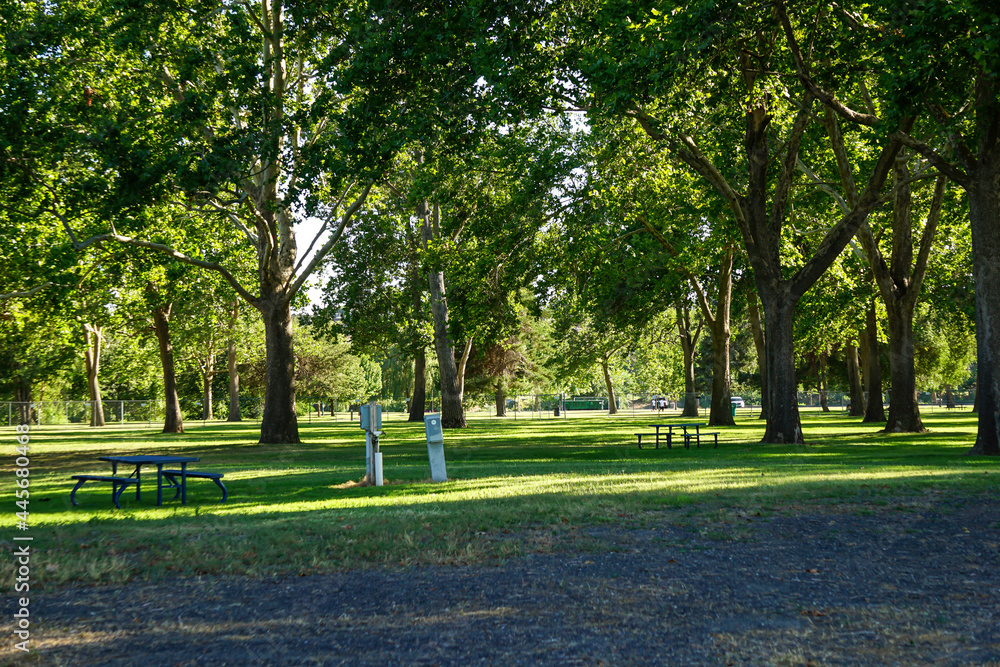 Beautiful park on the Columbia river in Washington State Beautiful park on the Columbia river in Washington State