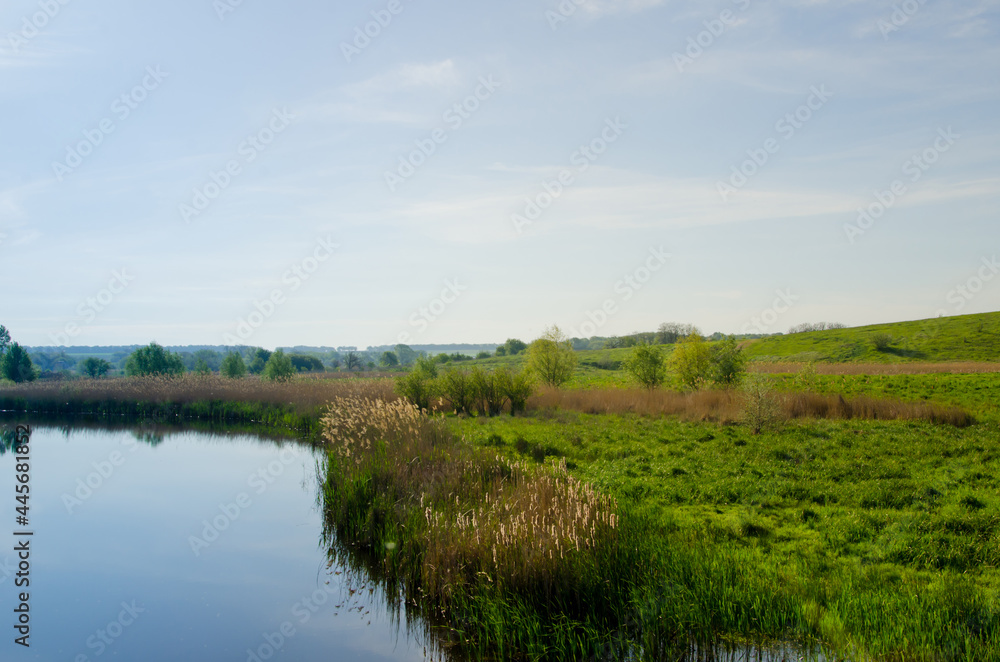 wide river, along the banks of reeds and green trees, the sky is reflected in the water
