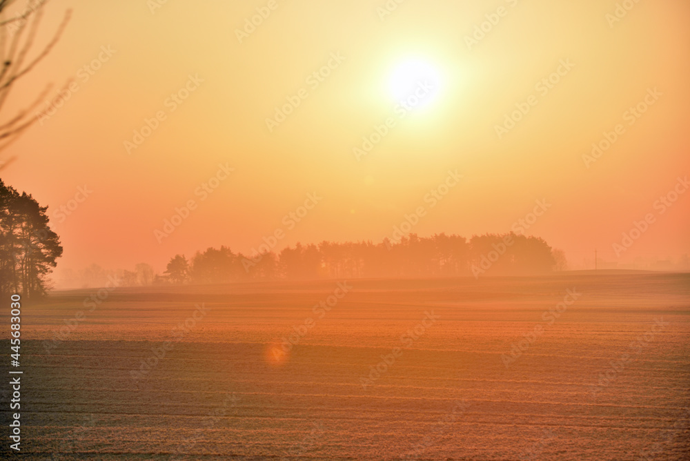 Naklejka premium misty sunrise over the forest and fields 