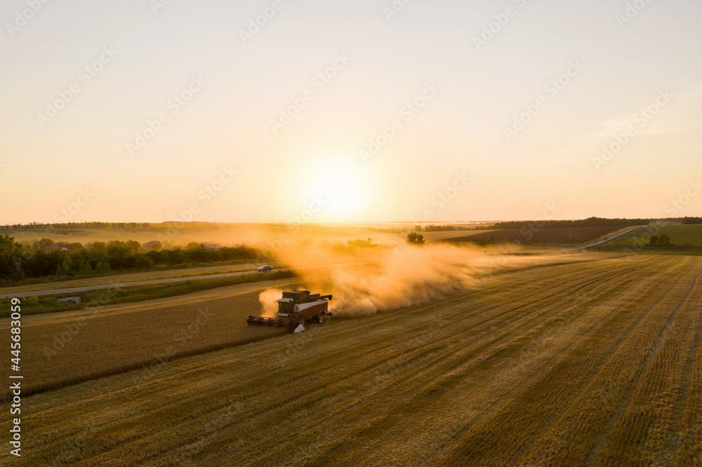 Combine harvester on the field at sunset. Aerial view