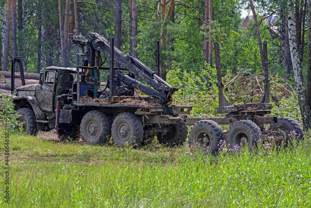 The logging truck is parked on a forest plot The logging truck is parked on a forest plot