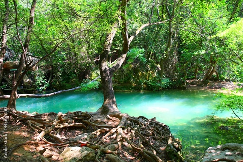 waterfall in the forest photo