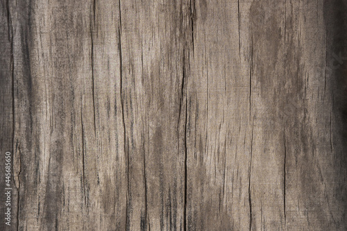 Old oak grunge dark textured wooden background surface of the old brown wood texture vintage style for design .