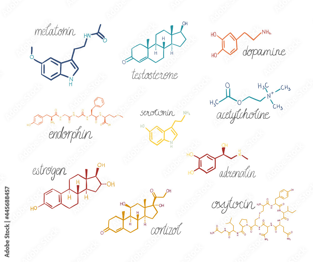Set of chemical hormones formulas. Hand-drawn doodle colorful illustrations with inscriptions. Symbols for biology, chemistry, naturopathy, medicine. Isolated on white. Set of chemical hormones formulas. Hand-drawn doodle colorful illustrations with inscriptions. Symbols for biology, chemistry, naturopathy, medicine. Isolated on white.