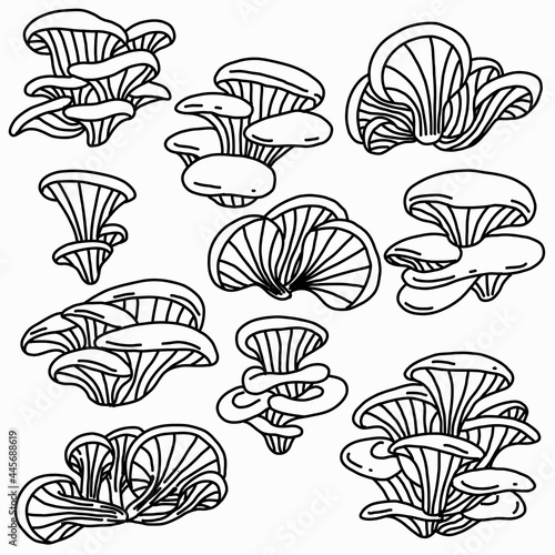 Doodle freehand sketch drawing collection set of oyster mushroom vegetable.