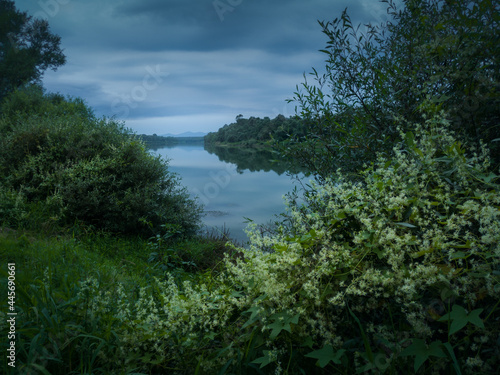 Scenic view of flowering bush on riverbank of Sava river and mountain Motajica in distance during overcast summer evening